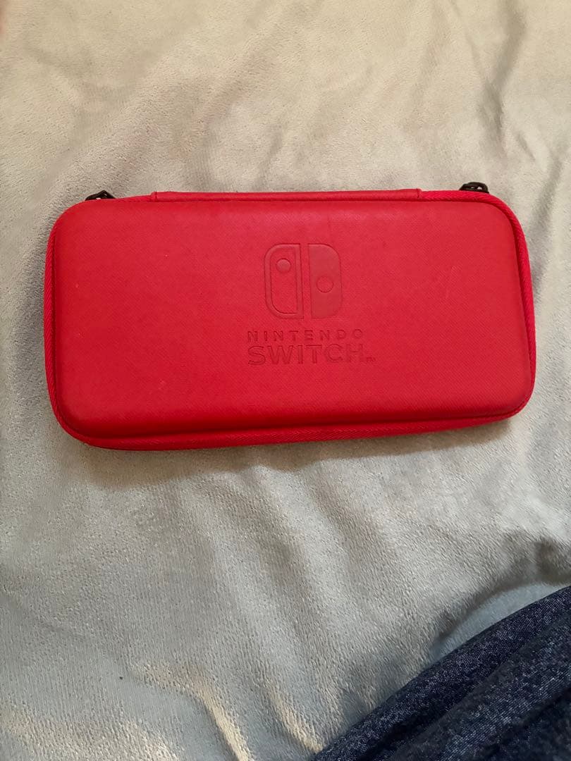 Nintendo Switch Lite ピンク 本体 ケース、充電器付き