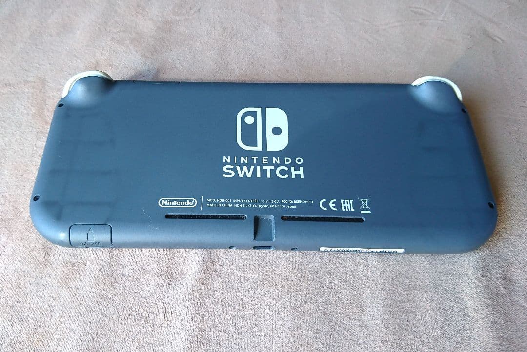 【ジャンク】 Switch Lite 本体 充電器付き