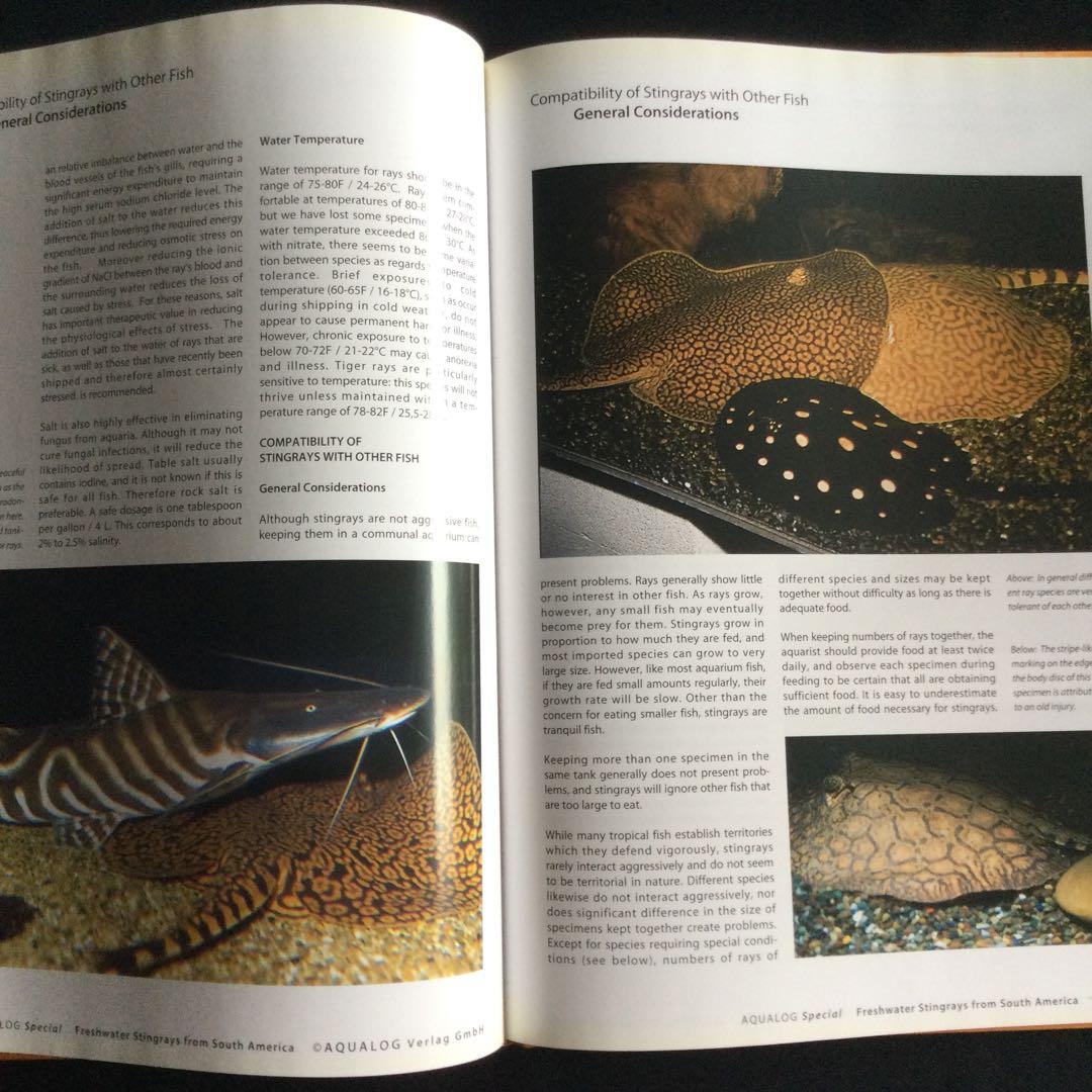 淡水エイ　魚　洋書　Aqualog 南アメリカ　南米　Ray 淡水魚　熱帯魚　魚