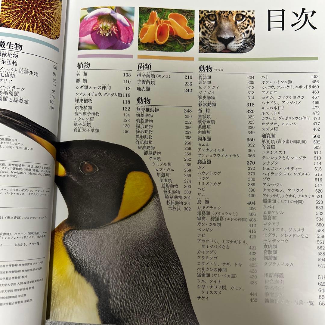 地球博物学大図鑑