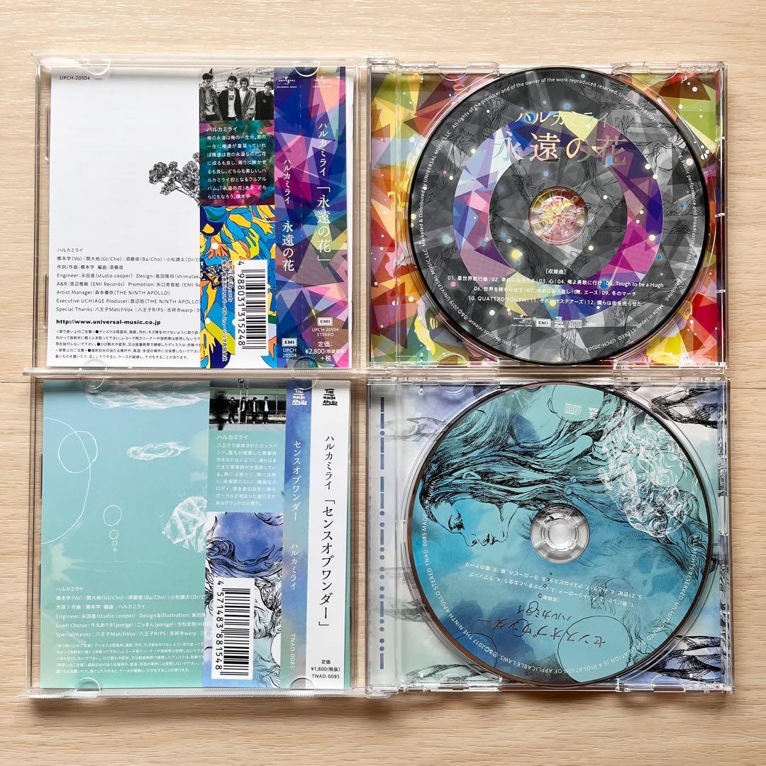 ハルカミライ　CD　まとめ