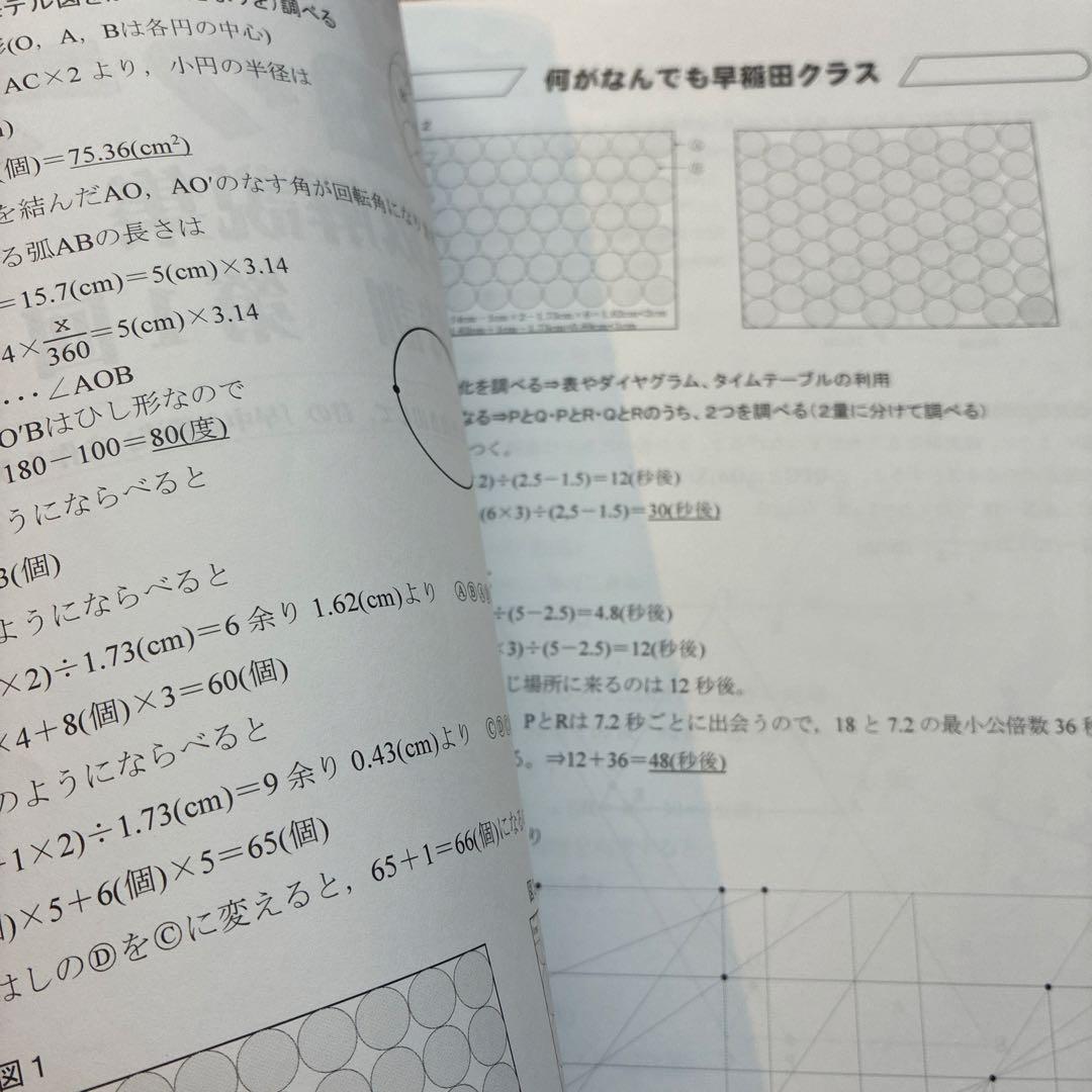 NN早稲田　2024-2025 正月特訓教材4冊セット　早稲田　城壁を突破せよ