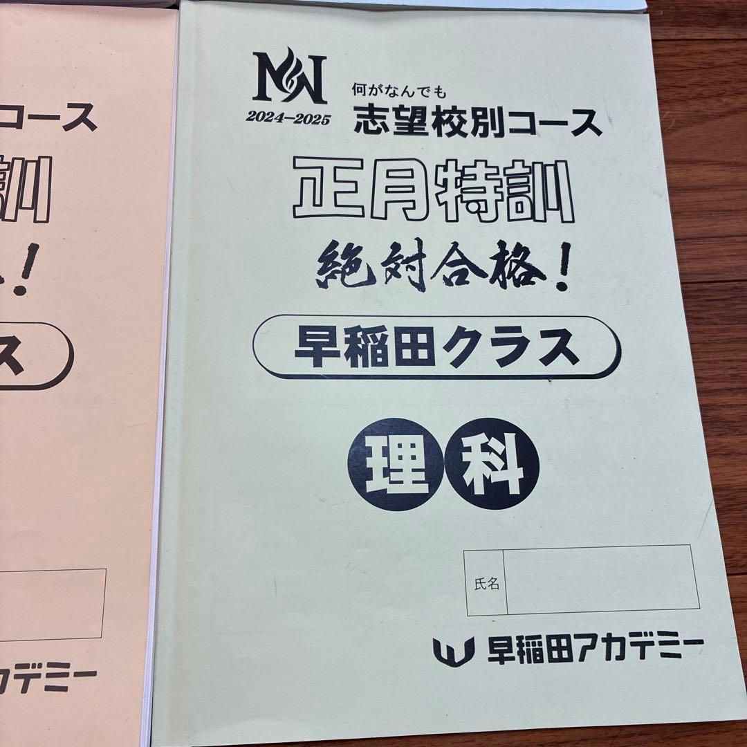 NN早稲田　2024-2025 正月特訓教材4冊セット　早稲田　城壁を突破せよ