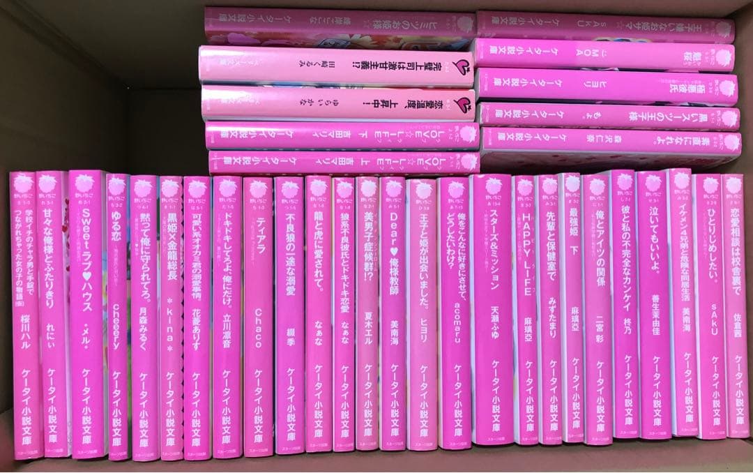小説セット  野いちご