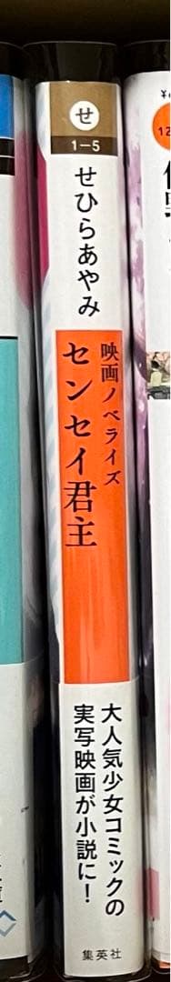 小説セット  野いちご
