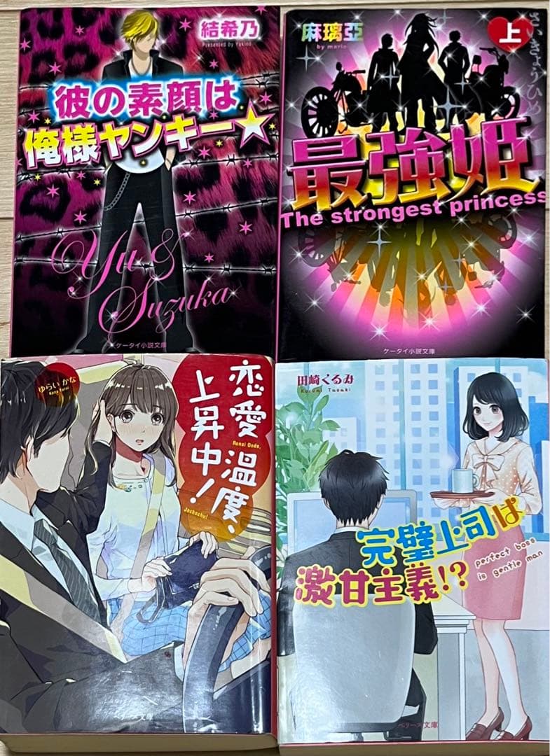 小説セット  野いちご