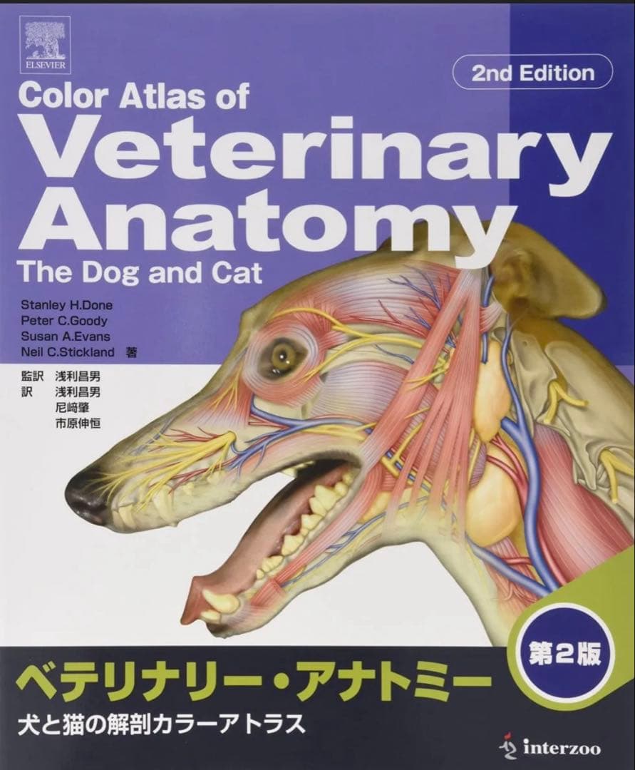 ベテリナリー・アナトミー 犬と猫の解剖カラーアトラス　獣医学