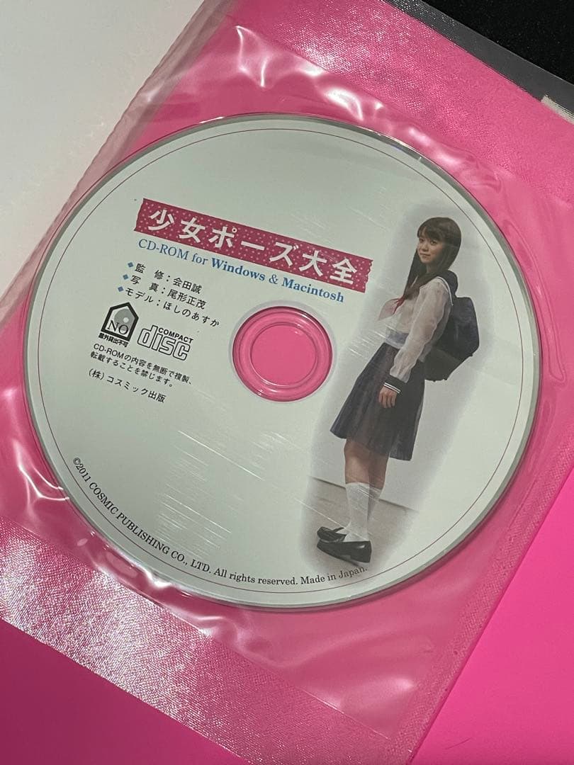 少女ポーズ大全 会田誠／監修