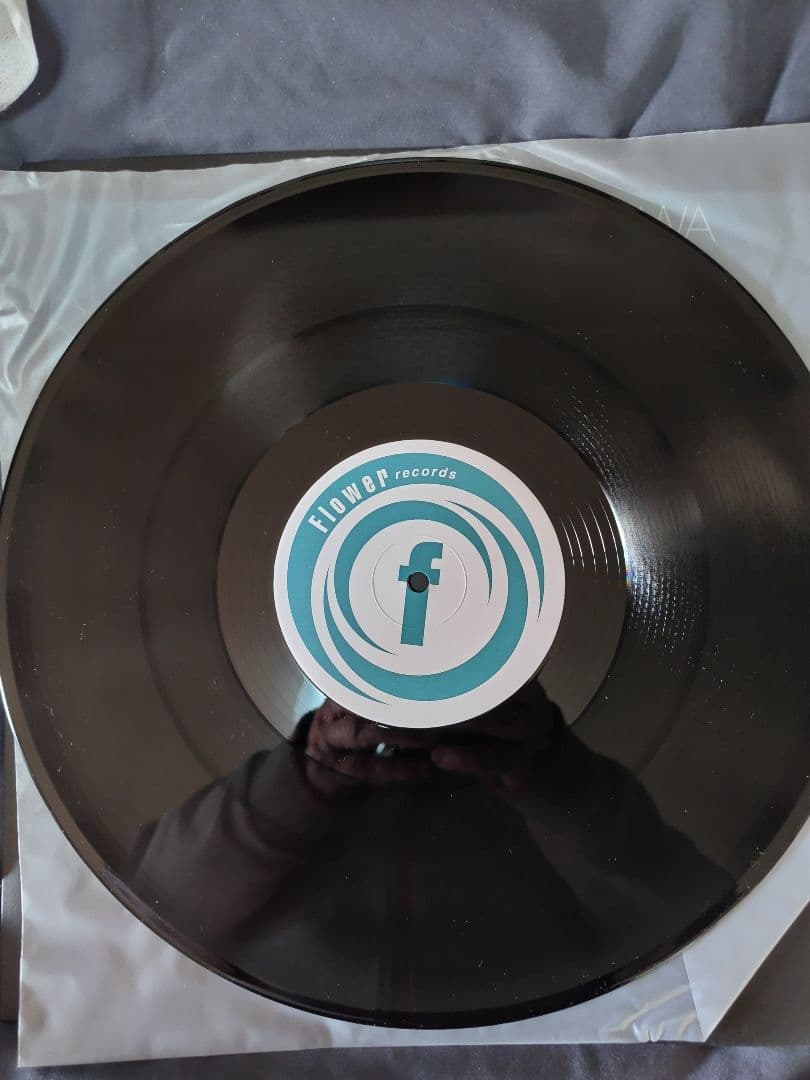 和ハウス レコード 11枚セット 12\"