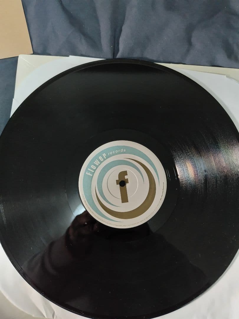 和ハウス レコード 11枚セット 12\"