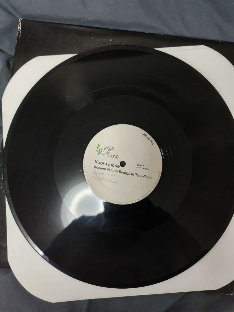 和ハウス レコード 11枚セット 12\"