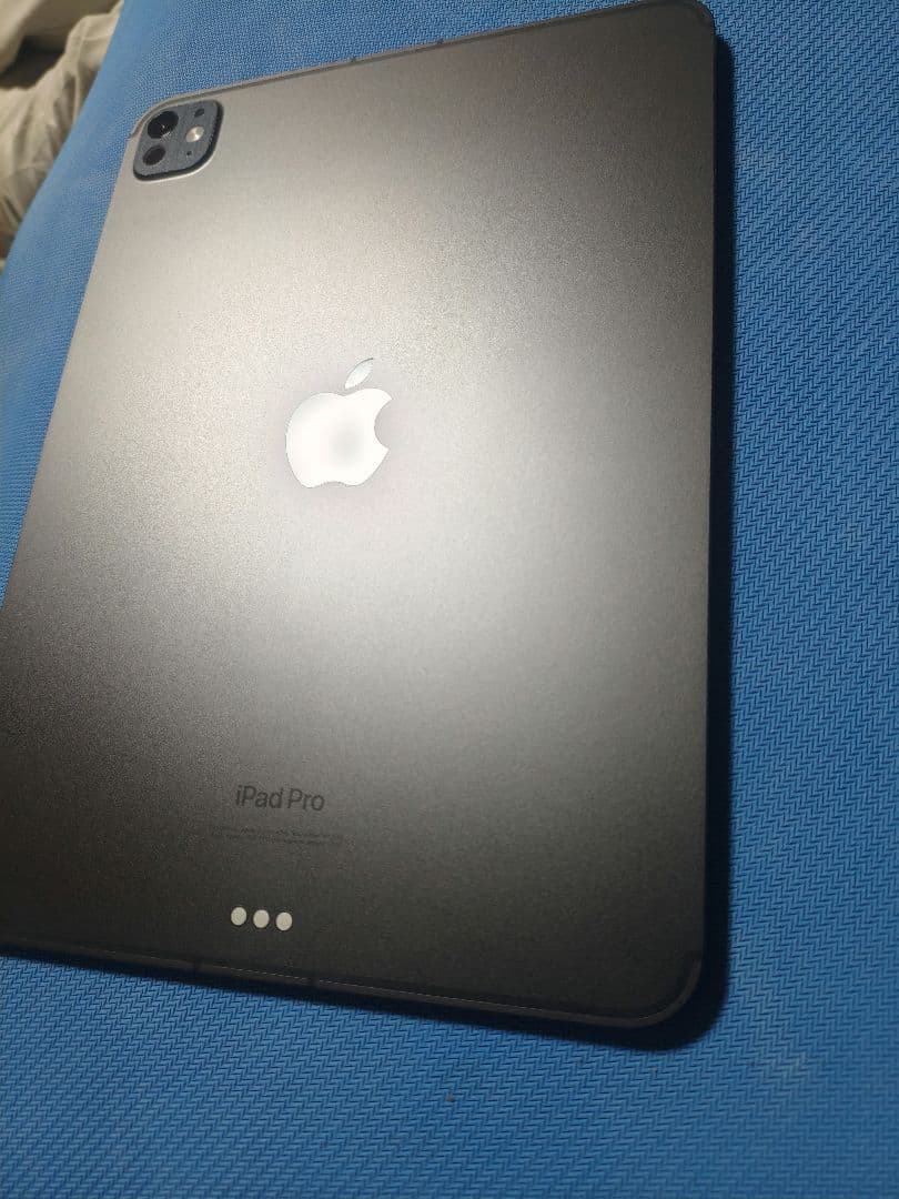 iPad Pro 11インチ M4 256GB Wi-Fi + Cellular