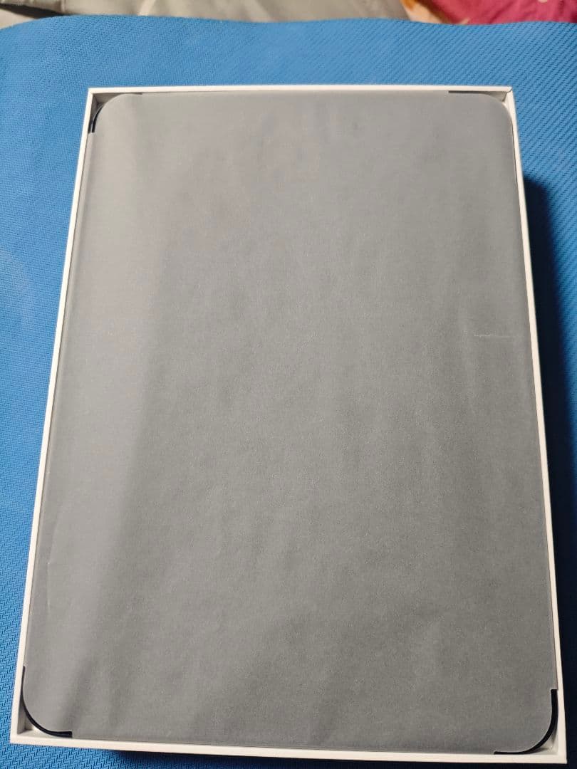 iPad Pro 11インチ M4 256GB Wi-Fi + Cellular