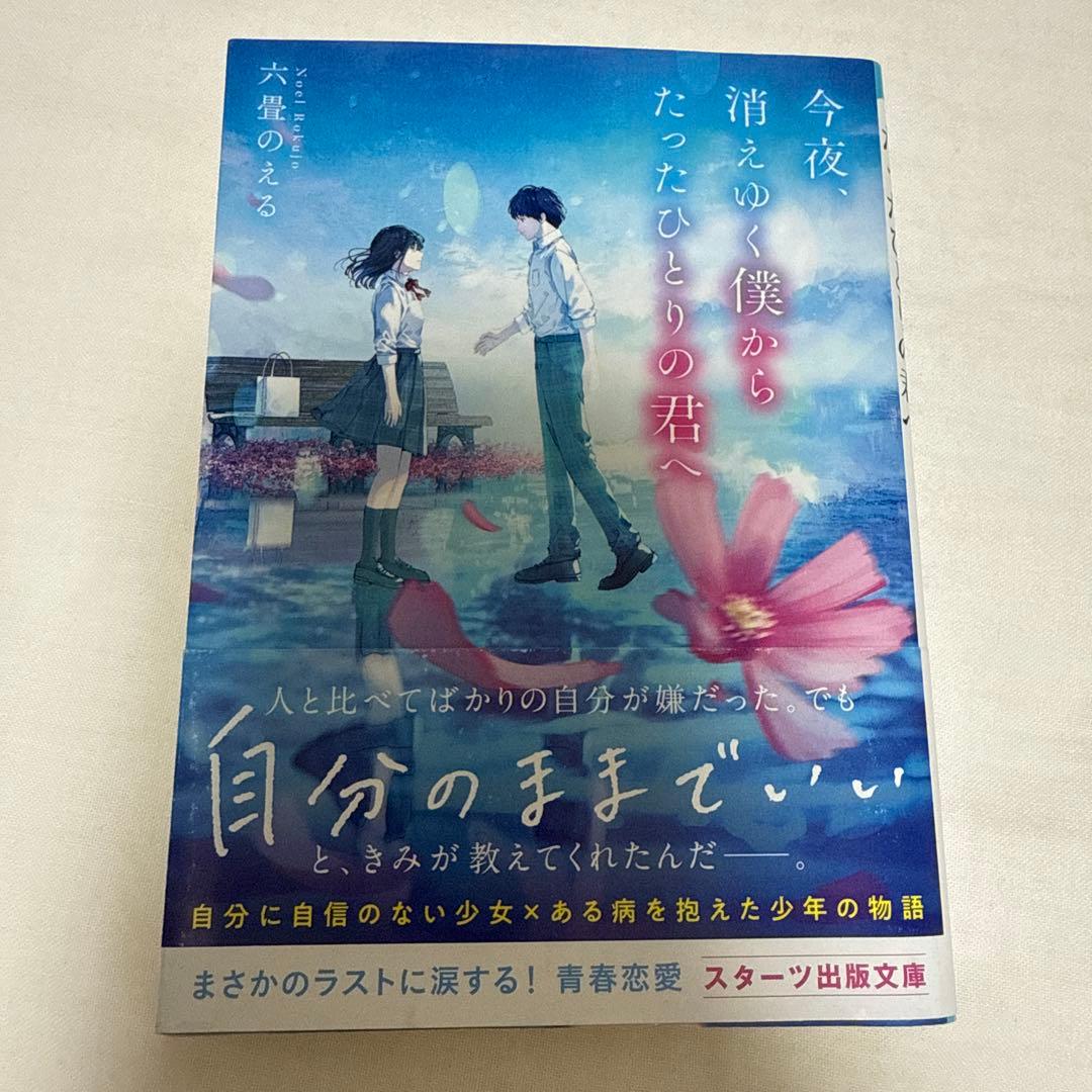 2冊以外恋愛小説