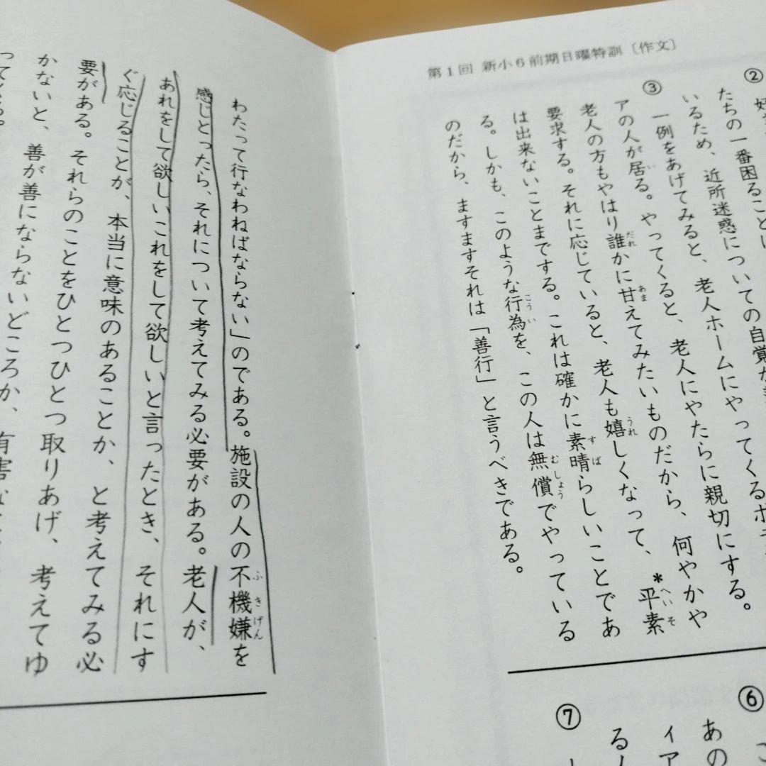 最新版 小6 日曜特訓　前期日特 後期日特 直前特訓 三鷹 全31回 バラ売相談