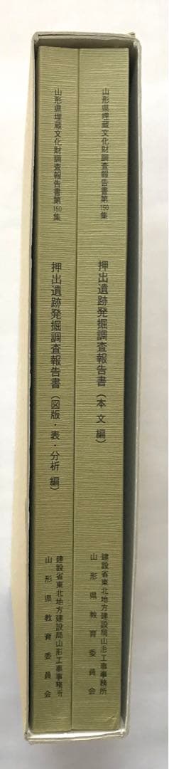 押出遺跡発掘調査報告書(本文編)(図版・表・分析編)