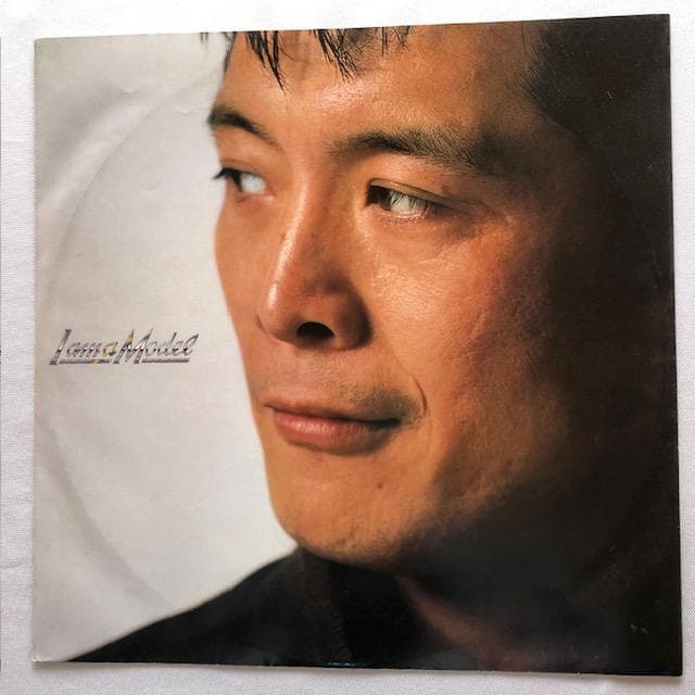 矢沢永吉 LP 3枚セット 後楽園LIVE 40AH 645-6 他 y107