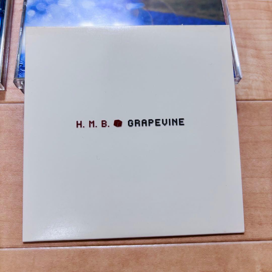 GRAPEVINE CD まとめ売り アルバム シングル ライブ おまけ？14枚