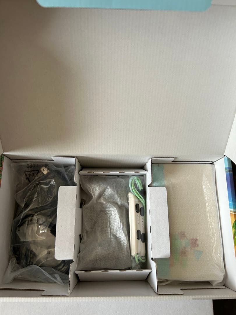 美品 Nintendo Switch あつまれどうぶつの森エディション