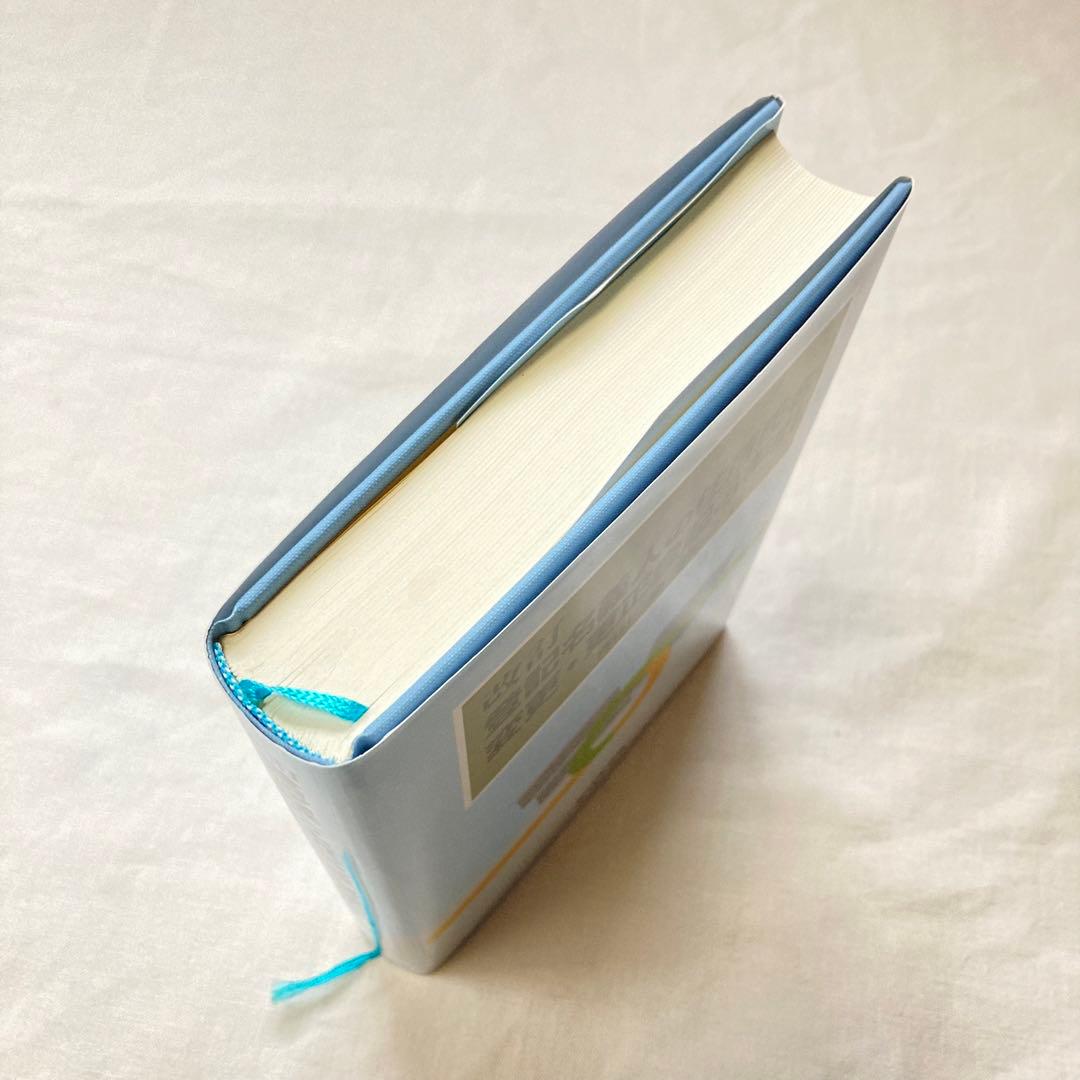 登記名義人の住所氏名変更・更正登記の手引　送料無料　司法書士試験対策　美品