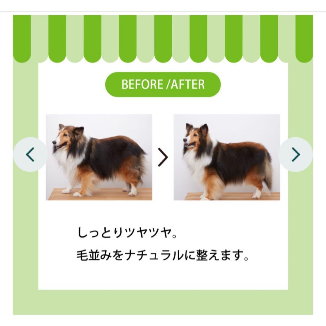 ☘️APDCティーツリーシャンプー&コンディショナー500㎖　　３本 set