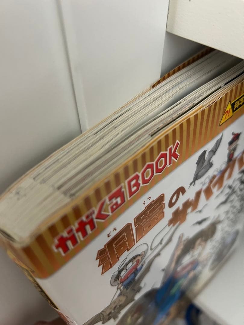 サバイバルシリーズ　38巻