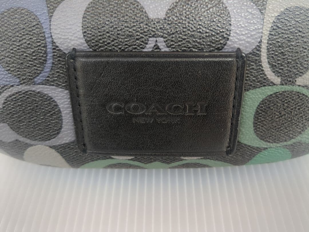 コーチ COACH ウエストバッグ ウエストポーチ シグネチャー C1293