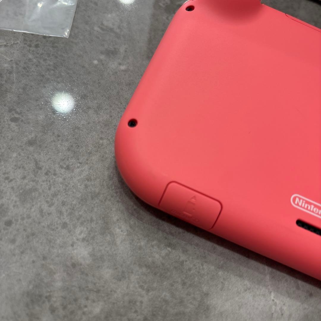 Switch ライト 充電器付き