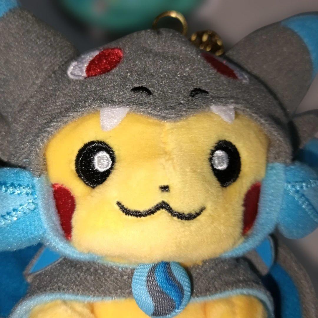 メガリザードンXポンチョを着たピカチュウ ぬいぐるみマスコット ポケモンセンター