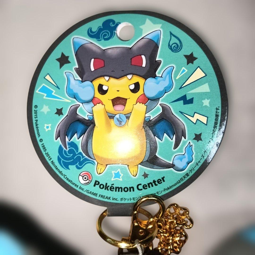 メガリザードンXポンチョを着たピカチュウ ぬいぐるみマスコット ポケモンセンター