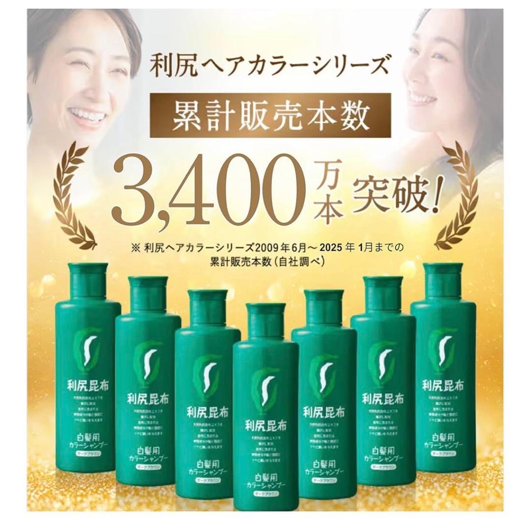 【大容量500ml】白髪用カラーシャンプーセット ミネラルイオンブラシ 利尻昆布