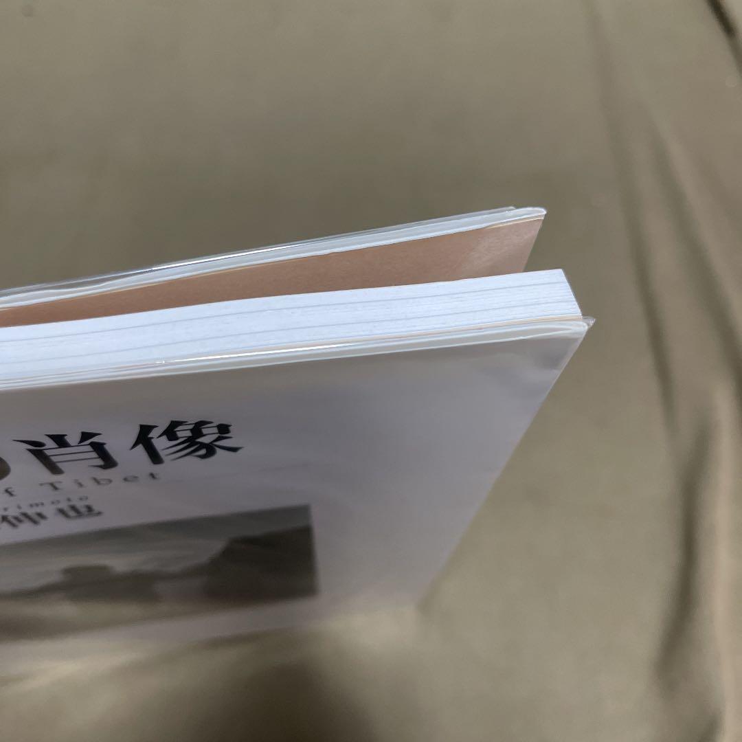 有元伸也 写真集 / 西蔵より肖像
