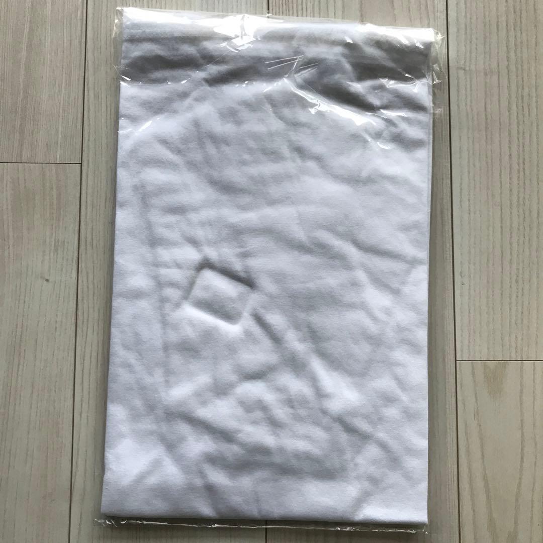24新品未開封 白 銀杏ボーイズ 銀杏BOYZ Tシャツ 峯田 江口