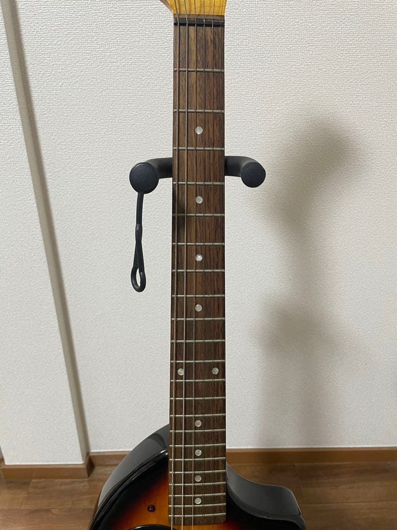 鈴*浩様 FERNANDES ZO-3 芸達者