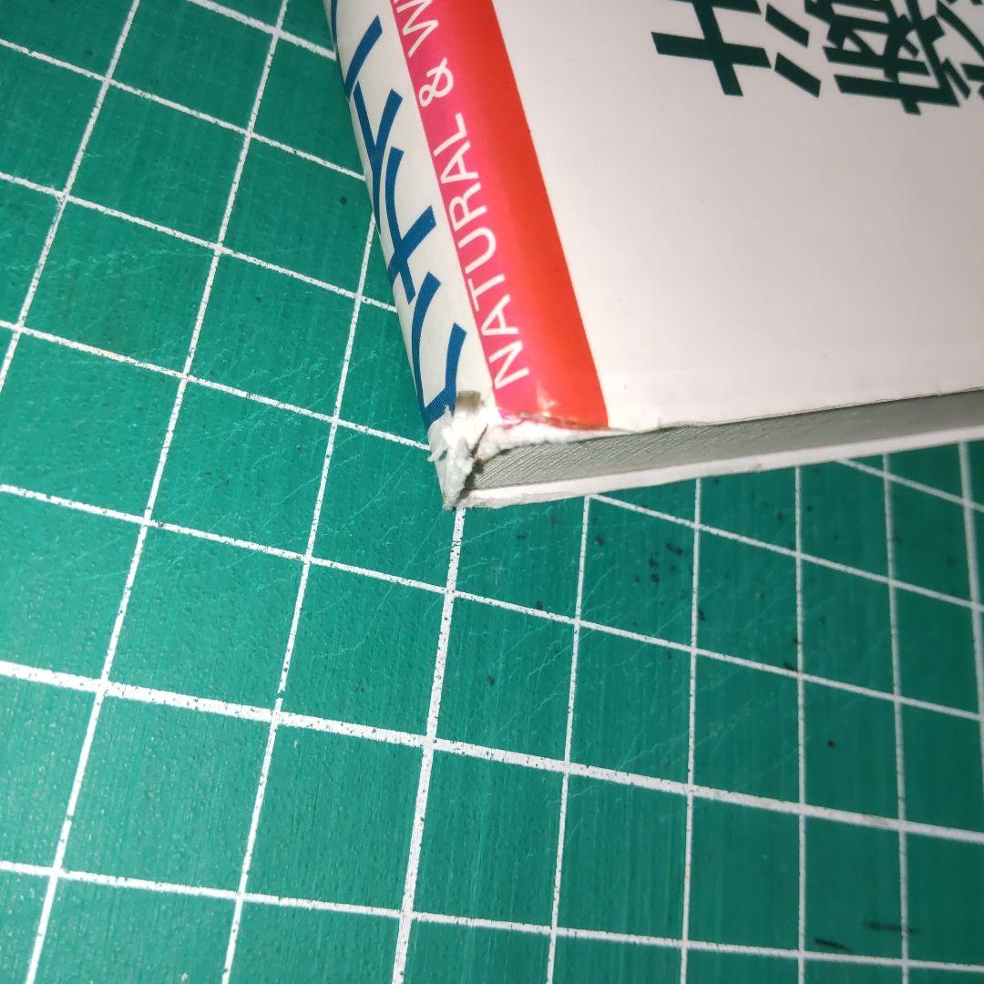 クナイプ自然療法 下