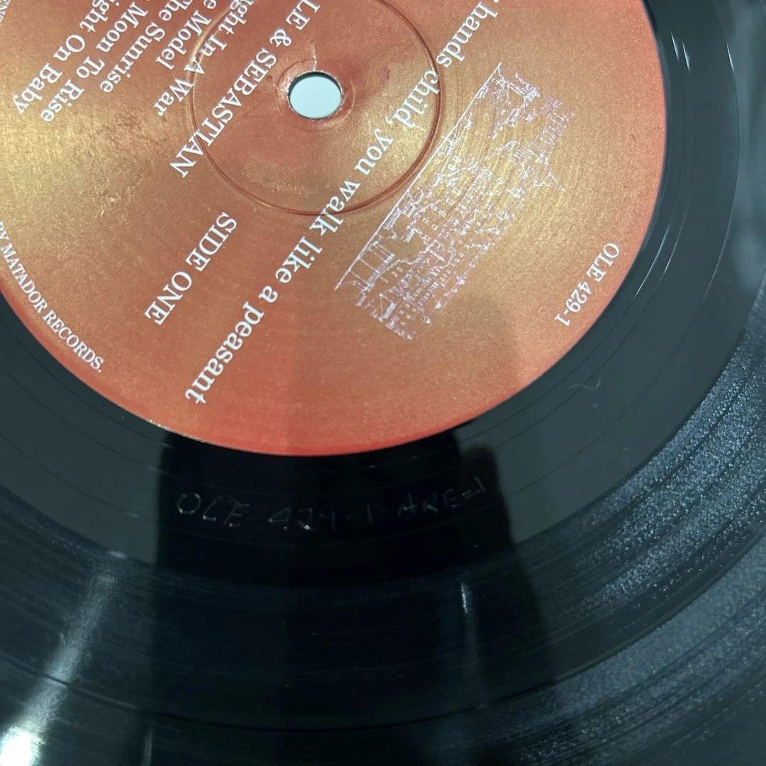 belle&sebastian わたしのなかの悪魔 アナログレコード　ベルセバ