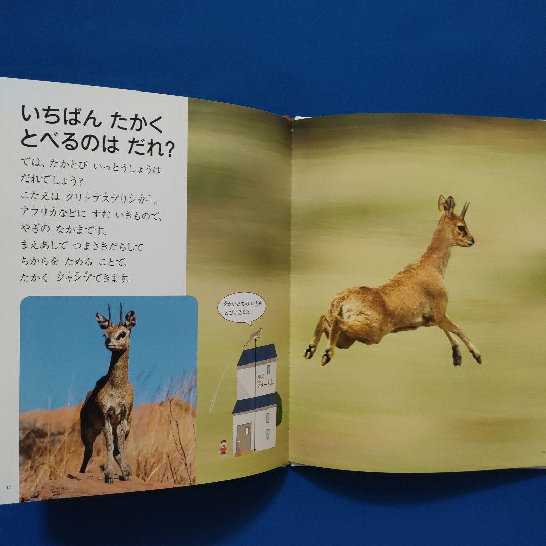 ビックサイエンス　キンダーブックしぜん　どうぶつ世界一　いきものチャンピオン