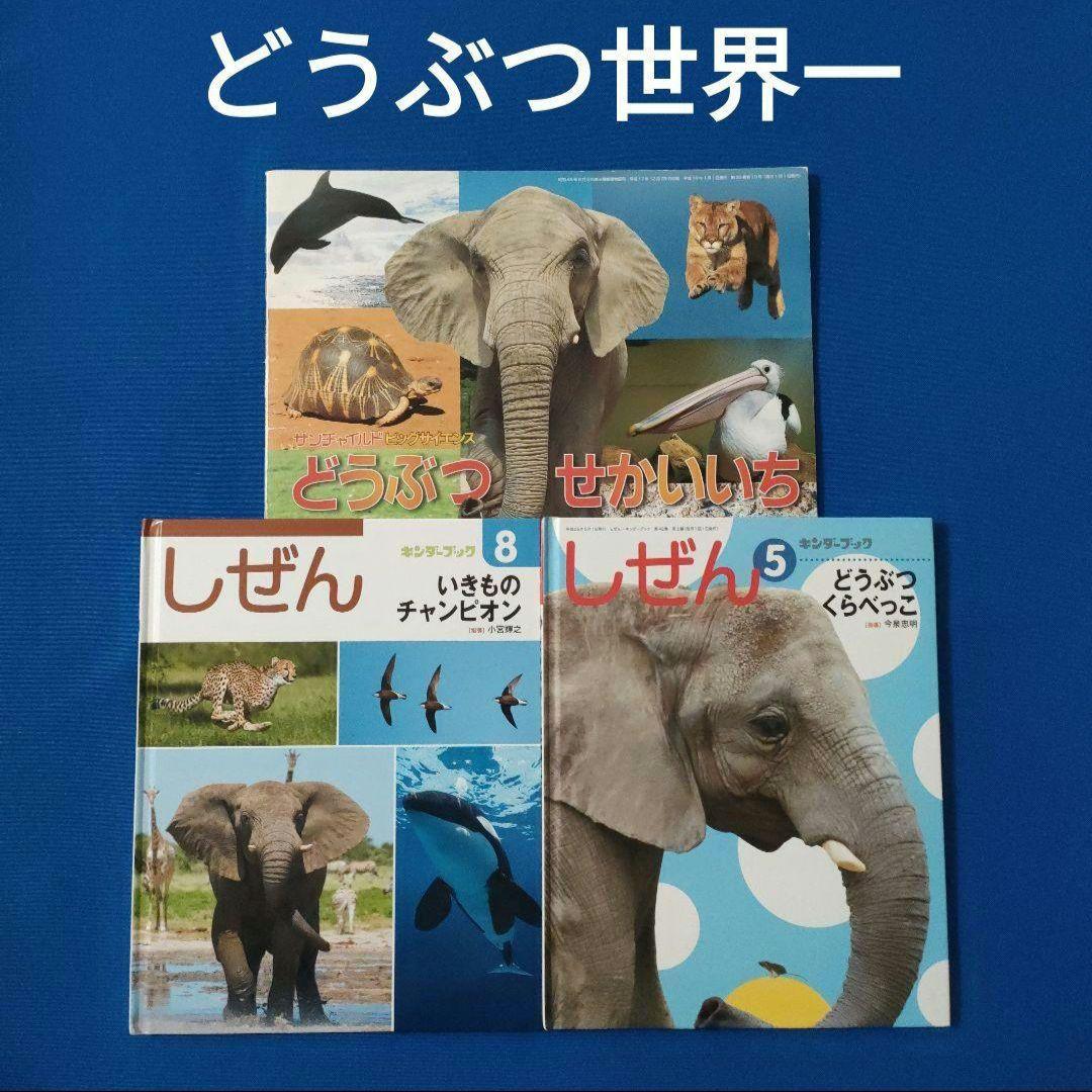 ビックサイエンス　キンダーブックしぜん　どうぶつ世界一　いきものチャンピオン