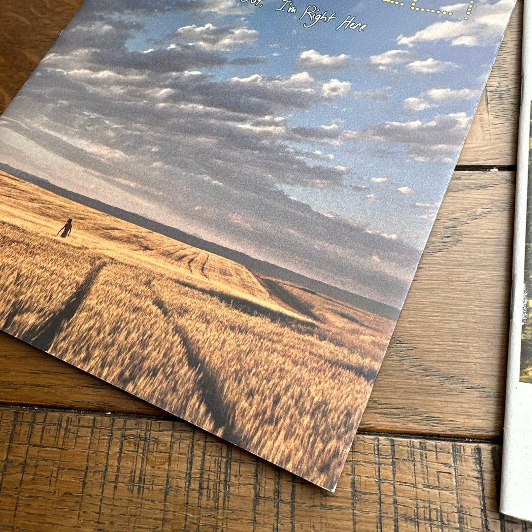 希少 RYAN McGINLEY 2冊 IMA 写真集 ライアンマッギンレー