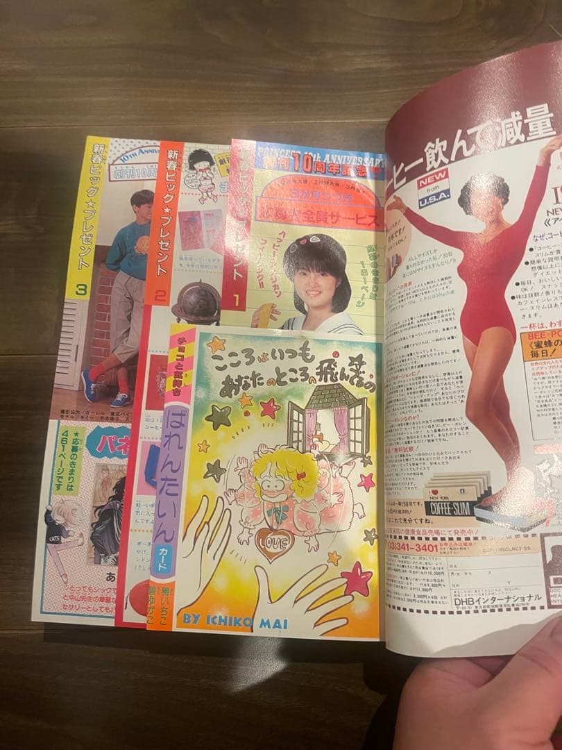 プリンセス 10周年記念号　1984年　2月号
