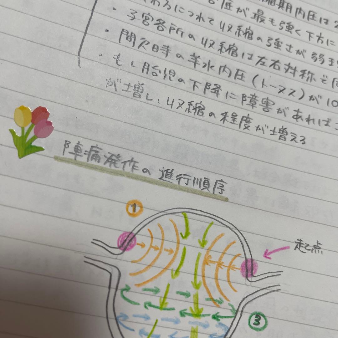 助産師学校セット　まとめノート　助産師国家試験