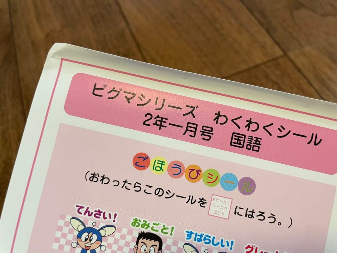 えり 【未記入】サピックス　ピグマ　2年生　通信