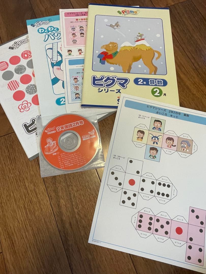 えり 【未記入】サピックス　ピグマ　2年生　通信