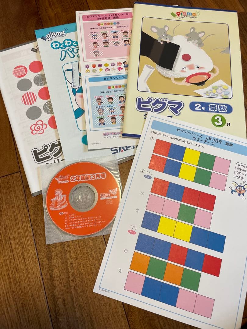 えり 【未記入】サピックス　ピグマ　2年生　通信