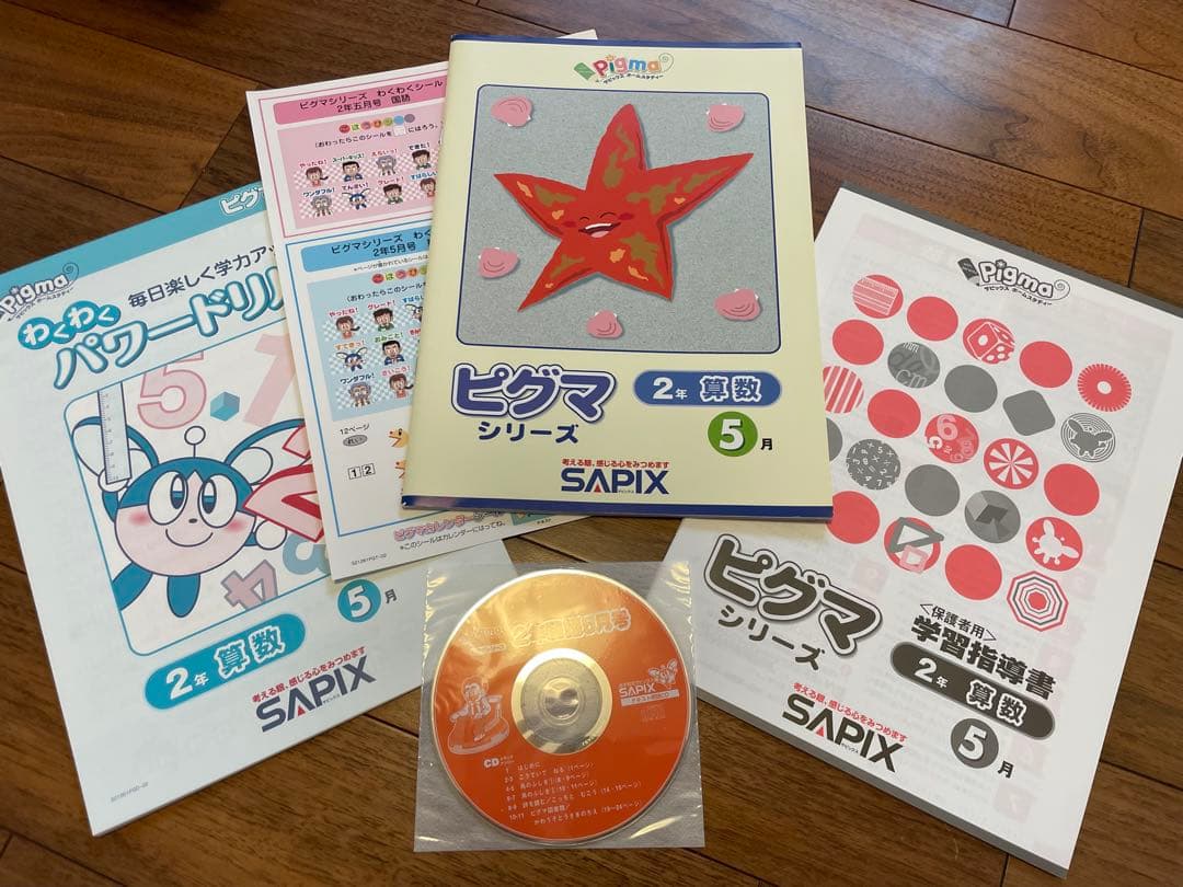 えり 【未記入】サピックス　ピグマ　2年生　通信