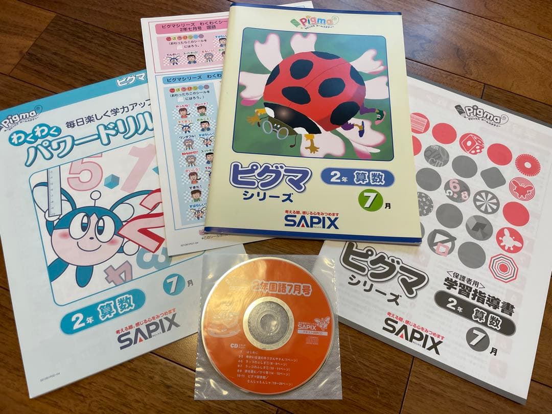 えり 【未記入】サピックス　ピグマ　2年生　通信