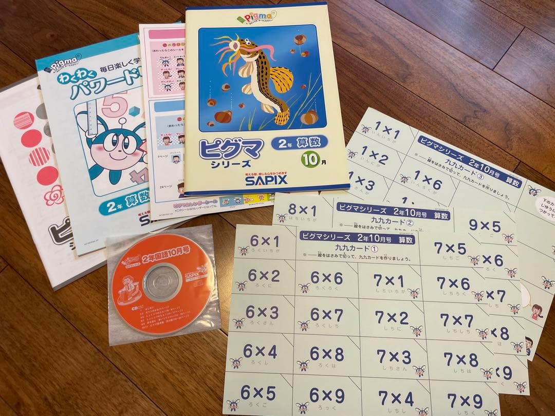 えり 【未記入】サピックス　ピグマ　2年生　通信