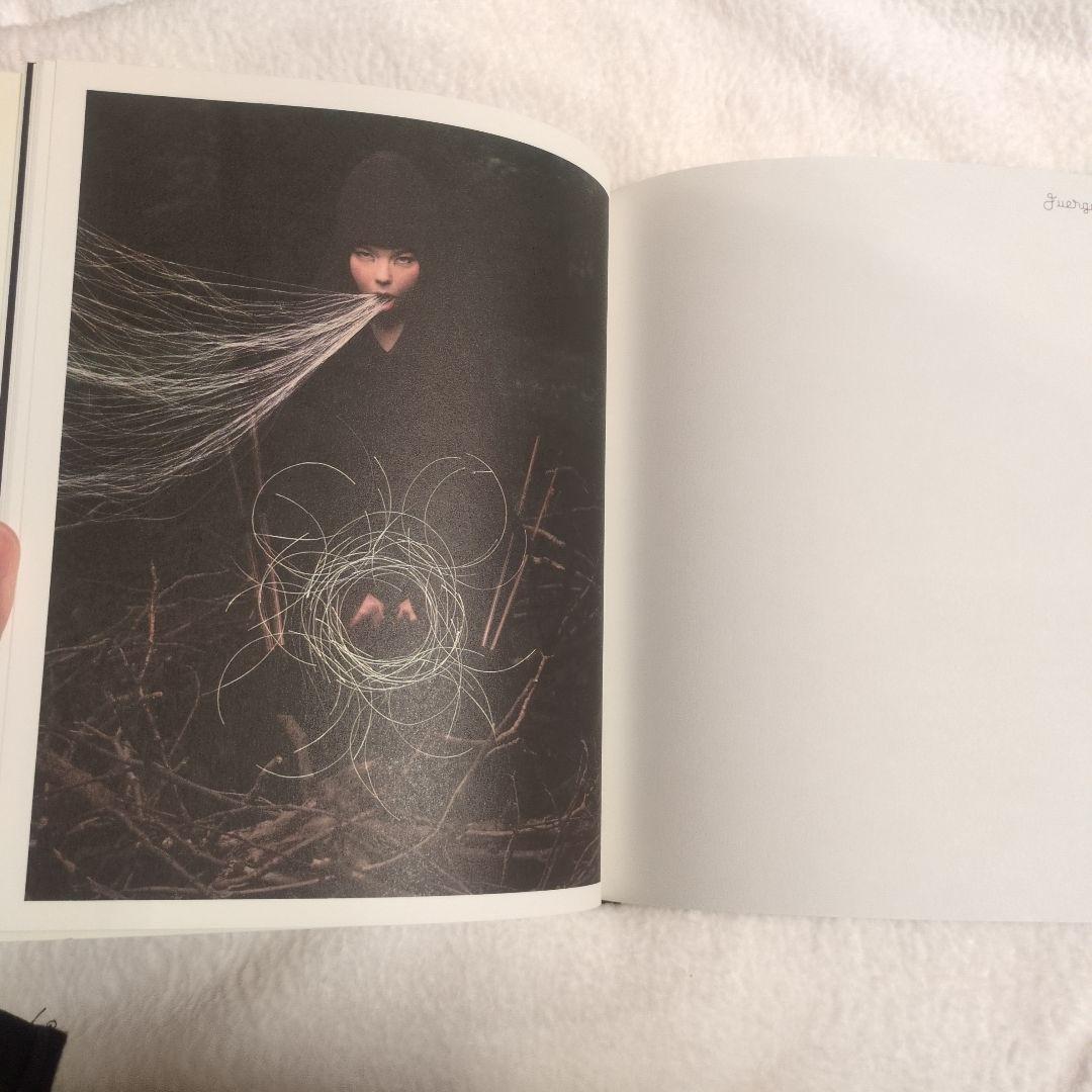 ビョーク　Bjork　ビョークが作った初めての本　絶版本