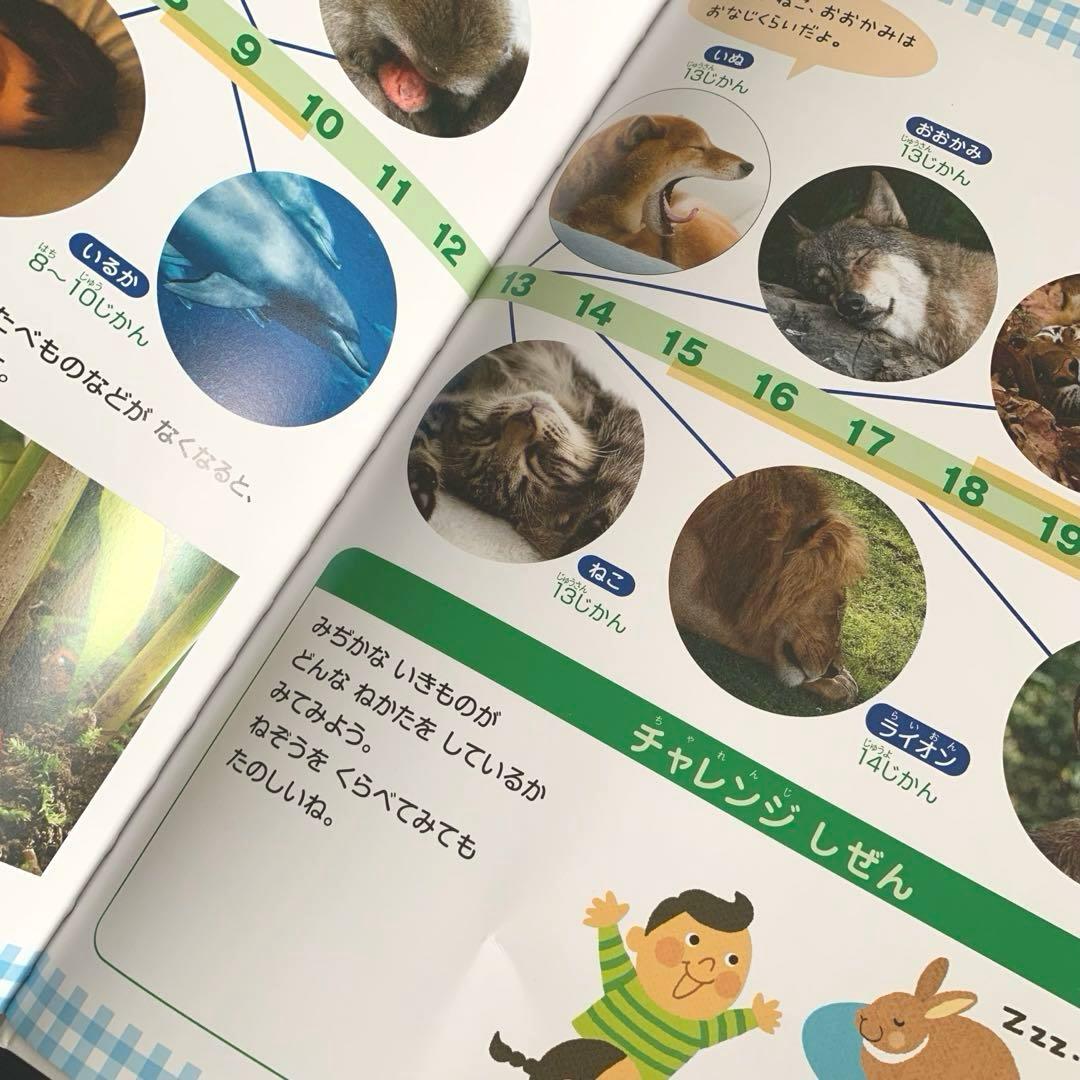 絵本/20冊/まとめ売り/キンダーブック/しぜん/動物/知育/みやにしたつや