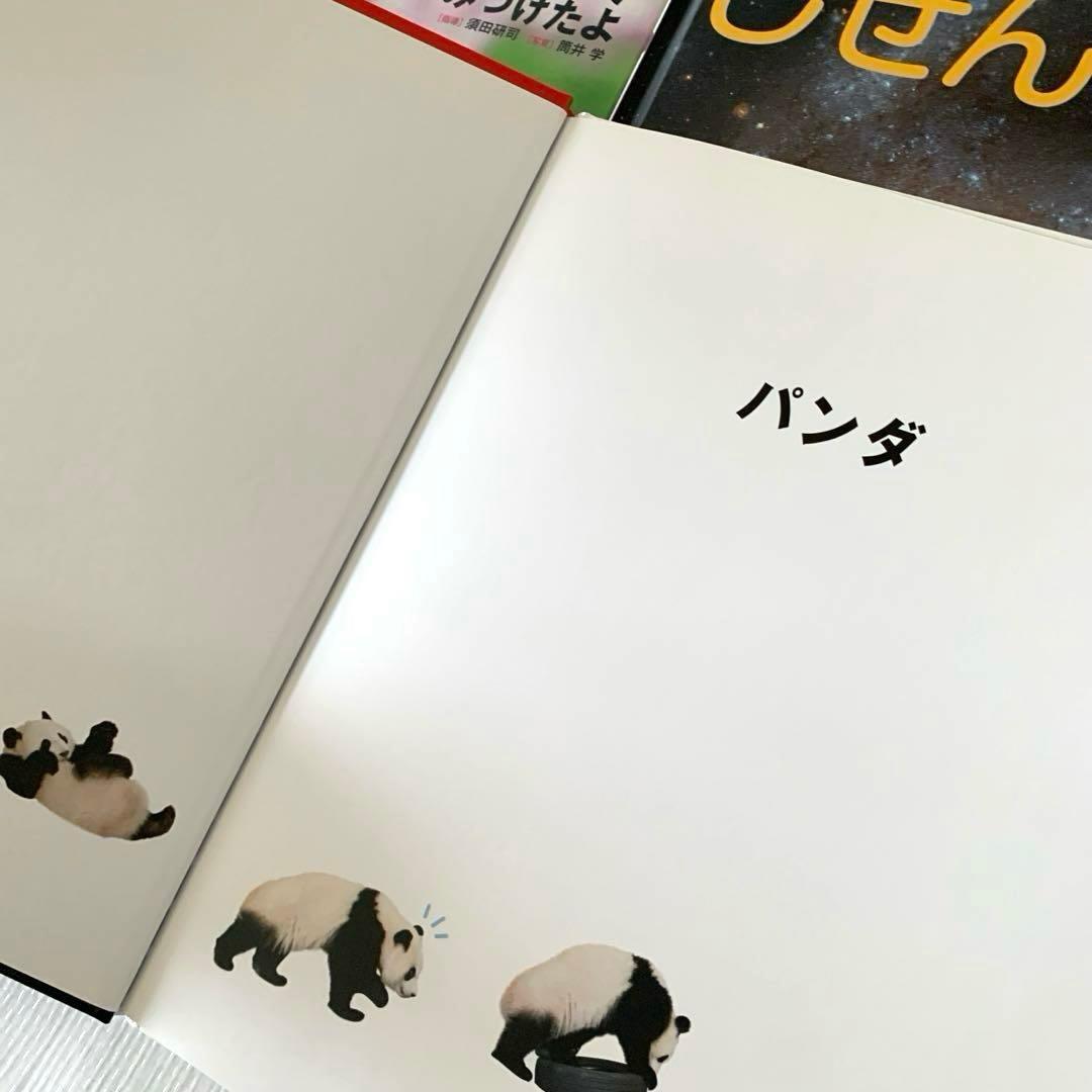 絵本/20冊/まとめ売り/キンダーブック/しぜん/動物/知育/みやにしたつや